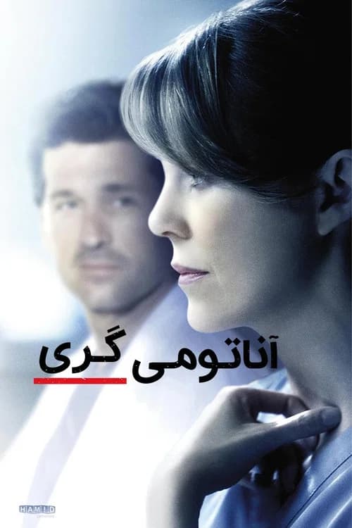 پوستر کالبدشناسی گری