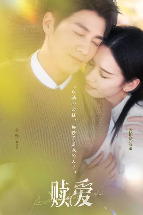 پوستر 赎爱