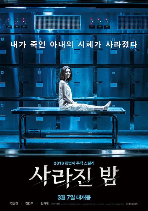 پوستر 사라진 밤