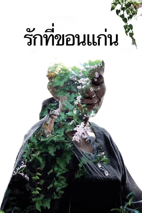 پوستر รักที่ขอนแก่น