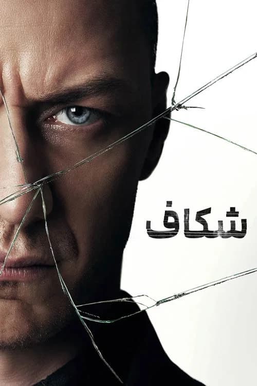 پوستر شکاف