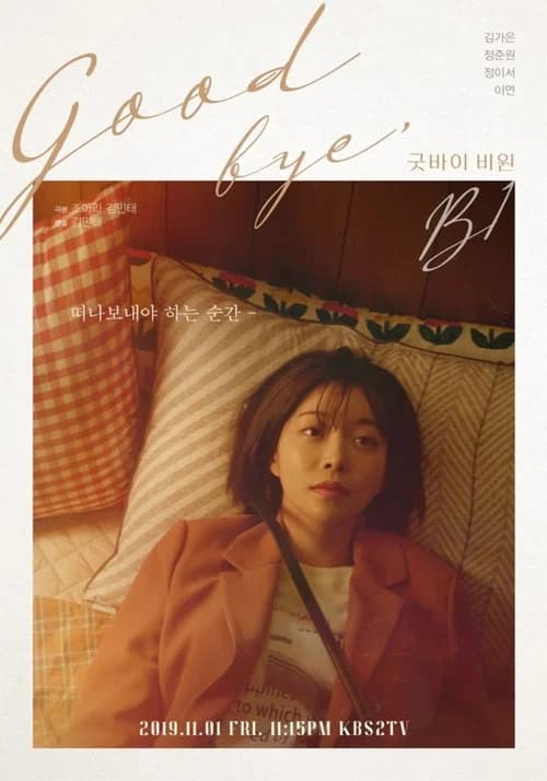 پوستر 드라마 스페셜 - 굿바이 비밀